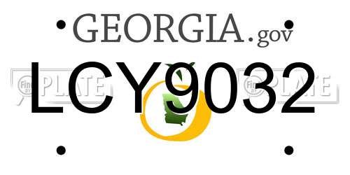 LCY9032 Georgia License Plate