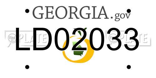 LD02033 Georgia License Plate