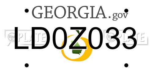 LD0Z033 Georgia License Plate