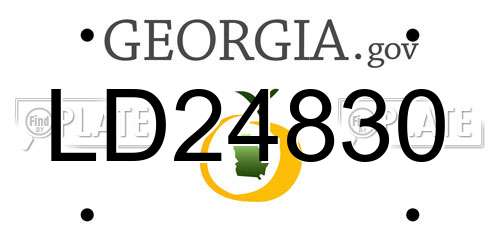 LD24830 Georgia License Plate