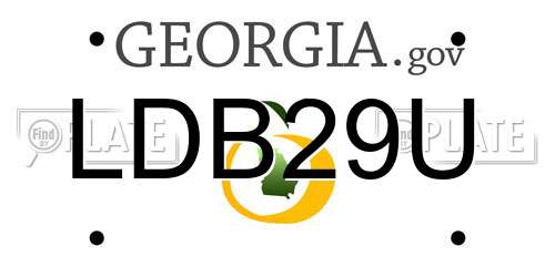 LDB29U Georgia License Plate