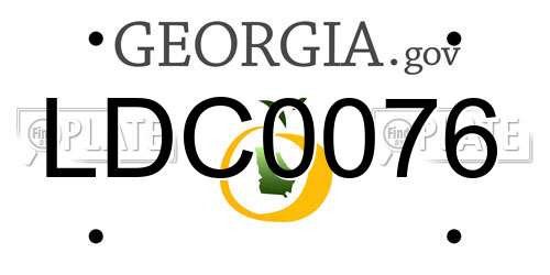 LDC0076 Georgia License Plate