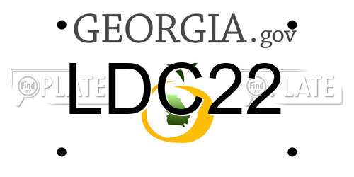 LDC22 Georgia License Plate