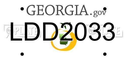 LDD2033 Georgia License Plate