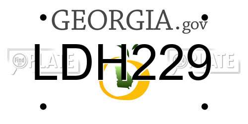 LDH229 Georgia License Plate