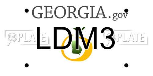 LDM3 Georgia License Plate
