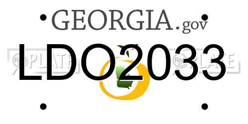 LDO2033 Georgia License Plate