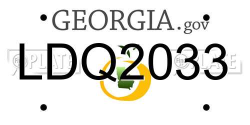 LDQ2033 Georgia License Plate