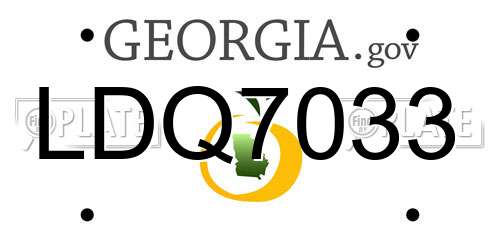 LDQ7033 Georgia License Plate