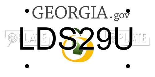 LDS29U Georgia License Plate