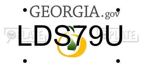 LDS79U Georgia License Plate