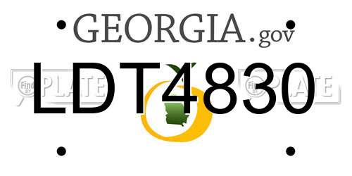 LDT4830 Georgia License Plate