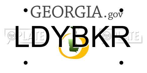 LDYBKR Georgia License Plate