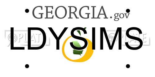 LDYSIMS Georgia License Plate