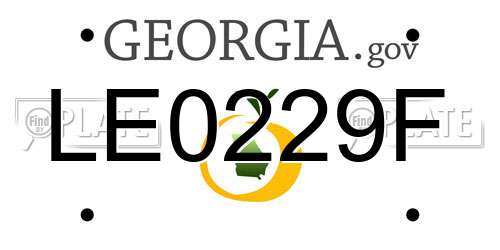 LE0229F Georgia License Plate