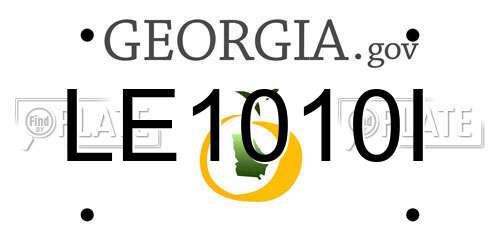 LE1010I Georgia License Plate