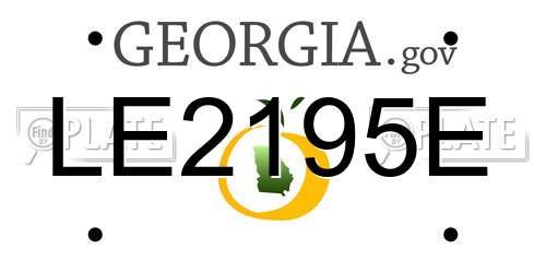 LE2195E Georgia License Plate