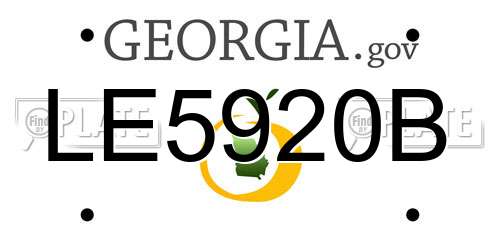LE5920B Georgia License Plate