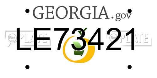 LE73421 Georgia License Plate