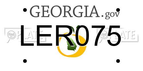 LER075 Georgia License Plate