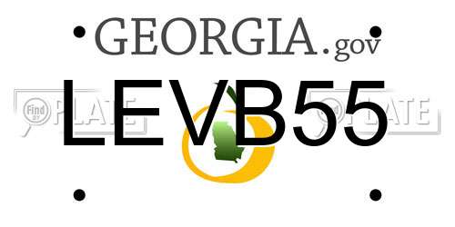 LEVB55 Georgia License Plate