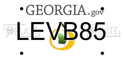 LEVB85 Georgia License Plate