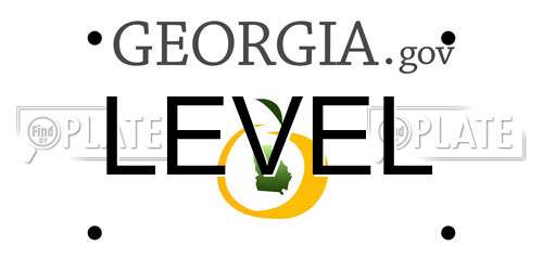 LEVEL Georgia License Plate