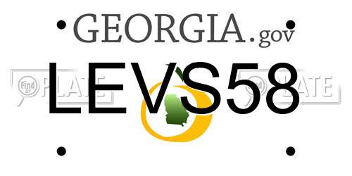LEVS58 Georgia License Plate