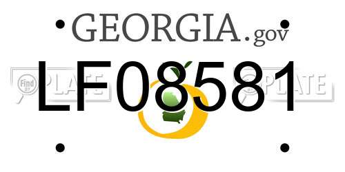 LF08581 Georgia License Plate