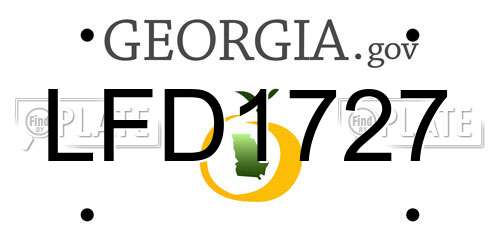 LFD1727 Georgia License Plate