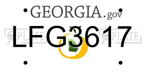 LFG3617 Georgia License Plate