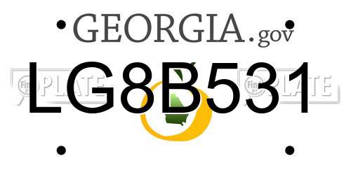 LG8B531 Georgia License Plate