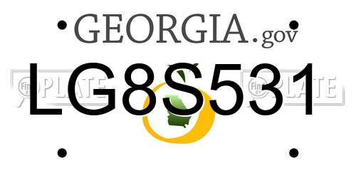 LG8S531 Georgia License Plate