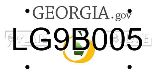 LG9B005 Georgia License Plate