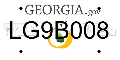 LG9B008 Georgia License Plate