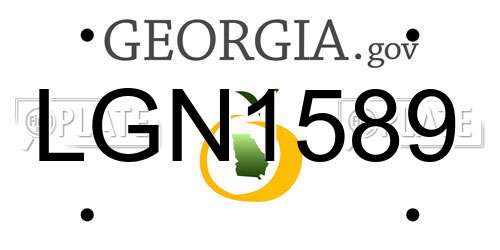 LGN1589 Georgia License Plate