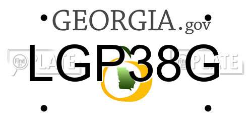 LGP38G Georgia License Plate