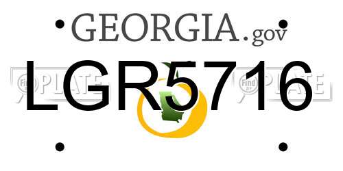 LGR5716 Georgia License Plate