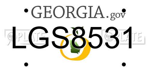 LGS8531 Georgia License Plate