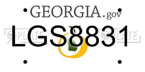 LGS8831 Georgia License Plate