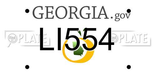 LI554 Georgia License Plate