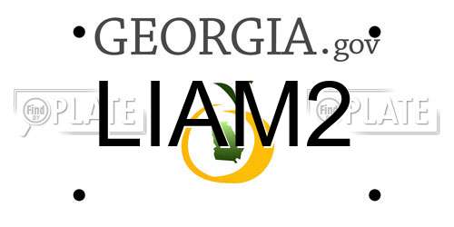 LIAM2 Georgia License Plate