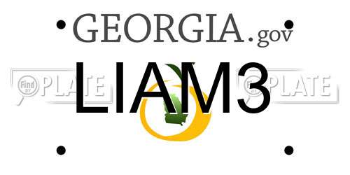 LIAM3 Georgia License Plate