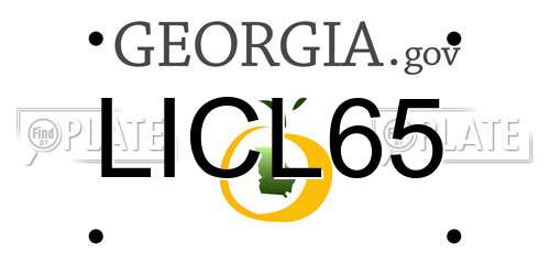 LICL65 Georgia License Plate