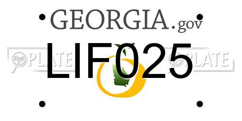 LIF025 Georgia License Plate