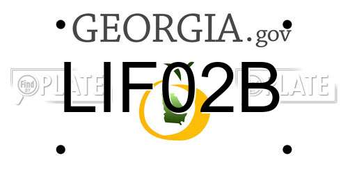 LIF02B Georgia License Plate