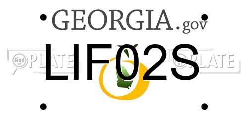 LIF02S Georgia License Plate