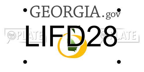 LIFD28 Georgia License Plate