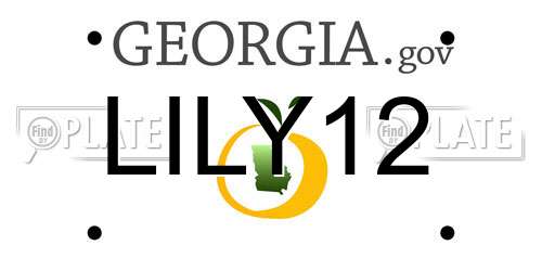 LILY12 Georgia License Plate