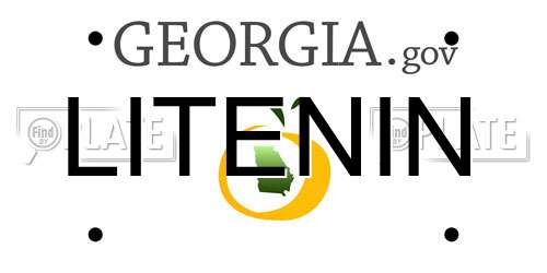LITENIN Georgia License Plate